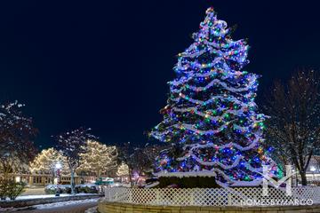 Arlington Heights, IL