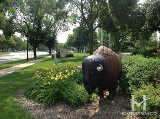 Buffalo Grove, IL