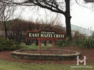 Photos of East Hazel Crest, IL