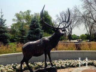 Photos of Elk Grove Village, IL