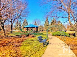 Elk Grove Village, IL