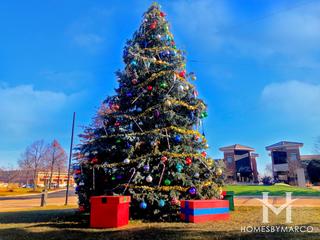 Elk Grove Village, IL