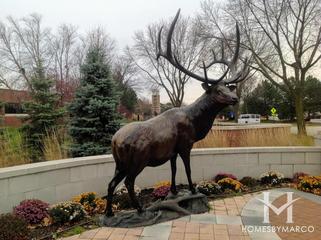 Elk Grove Village, IL