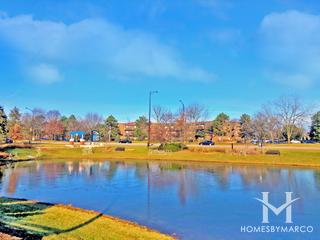 Elk Grove Village, IL