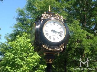 Photos of River Forest, IL
