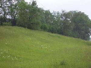LT4 East River Rd., Grafton, WI 53024
