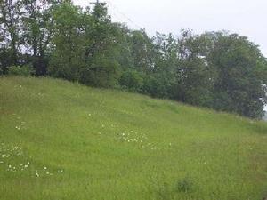 LT5 E East River Rd., Grafton, WI 53024