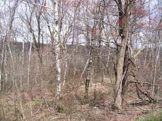 Monarch Ave., Glendale, WI 54638