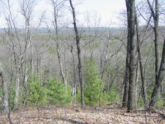 State Road 162, Burns, WI 54614