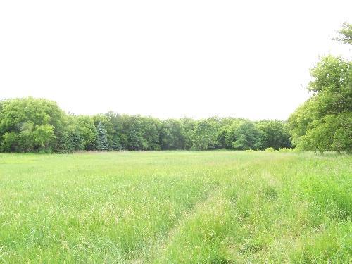 Trowbridge Tr., Merton, WI 53029