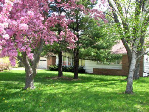 5336 S 31st St., Greenfield, WI 53221