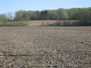 12.53 Acres Fur Farm Rd., New Holstein, WI 53061