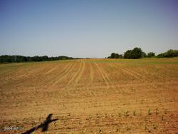 Land Willow Valley Rd., Fredonia, WI 53021