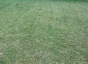 Lt2 E Roland, Oconomowoc, WI 53029