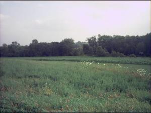 Lt1 Commercial Ln., Wayne, WI 53002