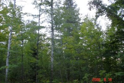 17237 Chipmunk Ln., Townsend, WI 54175