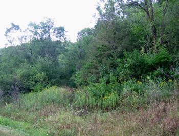 County Road C, Freeman, WI 54628