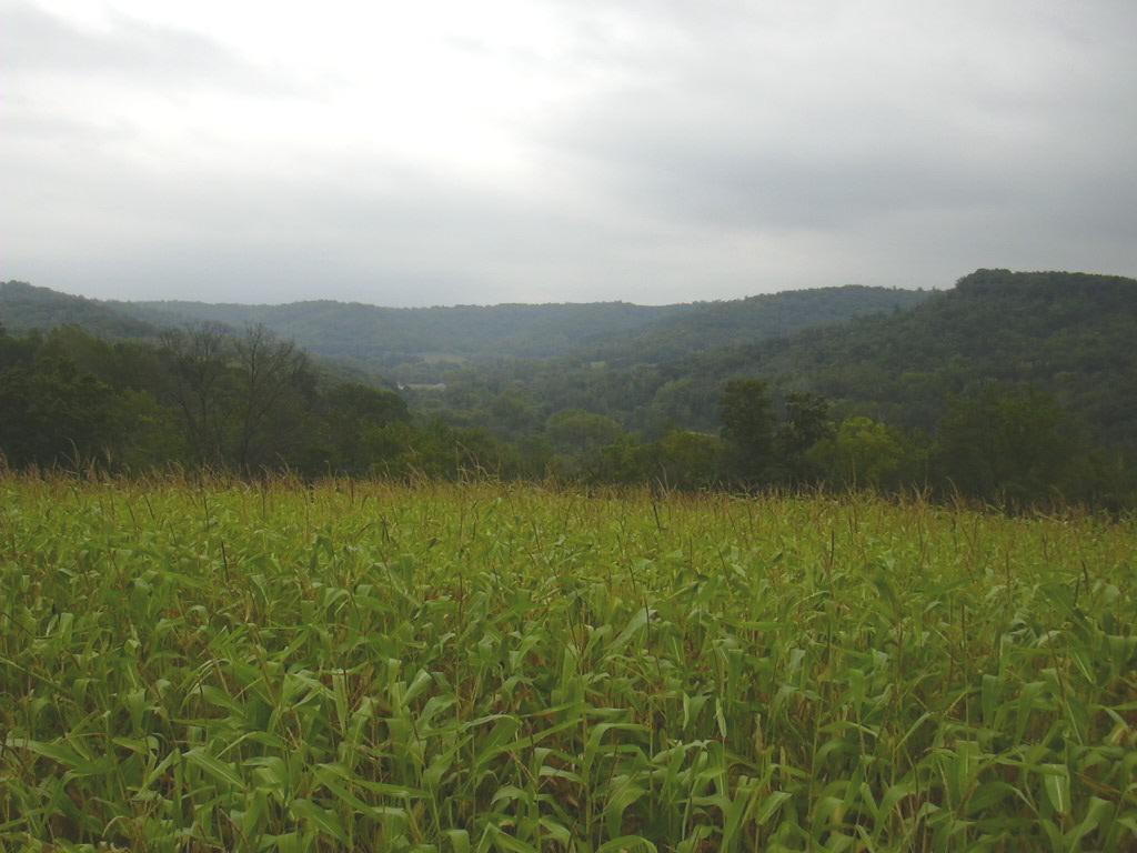 [Address Hidden by Seller], Onalaska, WI 54636