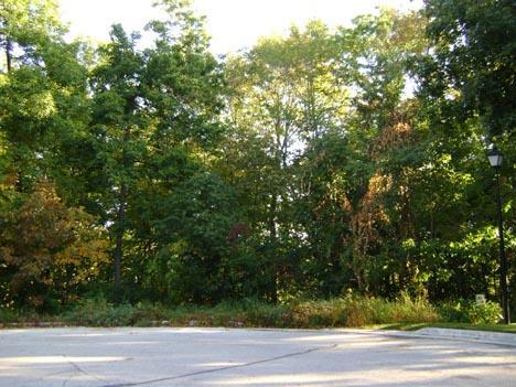 Lt9 Oak Ridge Dr., Plymouth, WI 53073