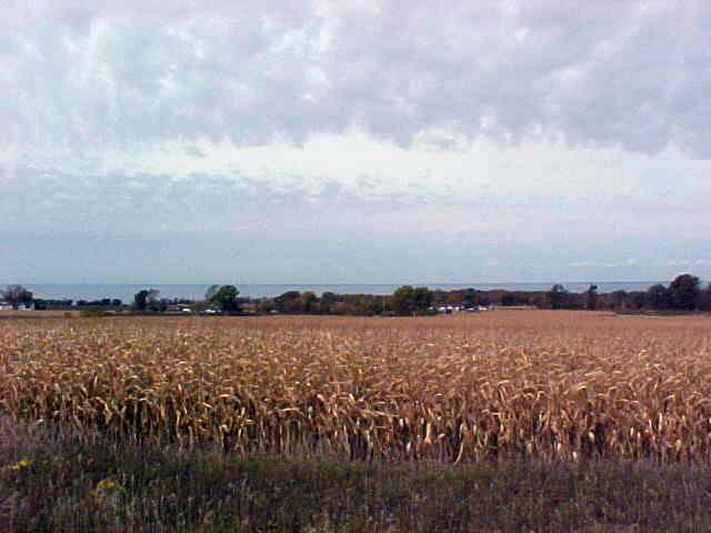 60 Acres Joe Rd., Stockbridge, WI 53014