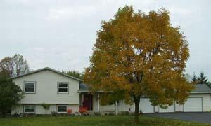 908 Amanda Ct., Holmen, WI 54636