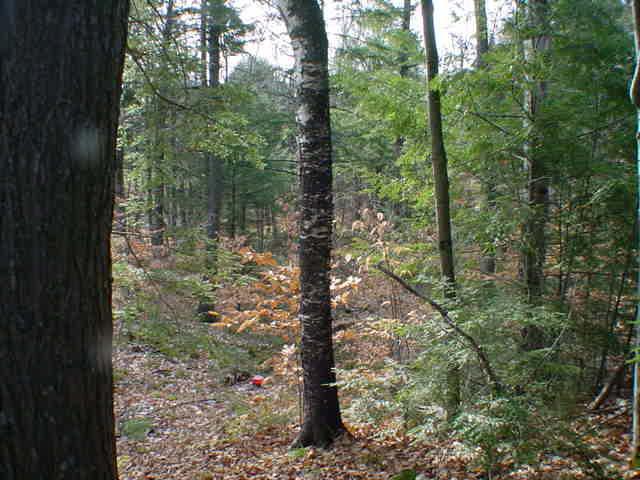 Lot 1 Cty Rd., Riverview, WI 54114