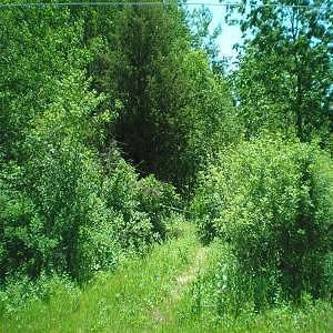 5.573 Acre On Karpathy Ln., Plymouth, WI 53073