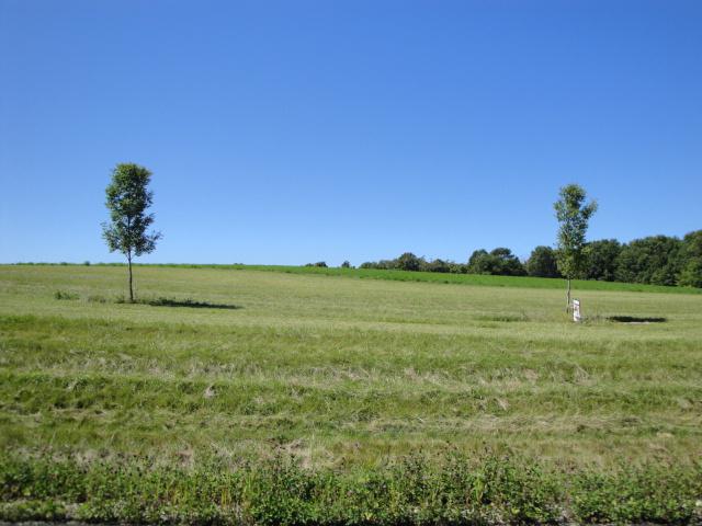 Lt13 N Deer Run Dr., Wayne, WI 53002