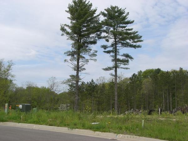 LT3 William Ave., West Salem, WI 54669