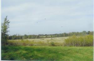 24 Acres Thede Rd., New Holstein, WI 53061