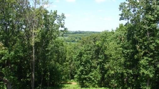 Lt15 Trinity Ln, Geneva, WI 53147