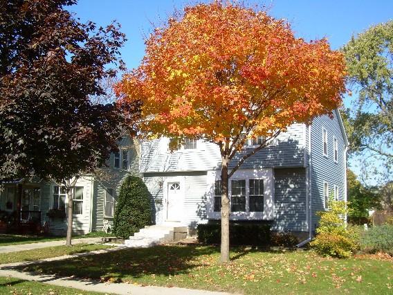 524 E Lancaster Ave, Whitefish Bay, WI 53217