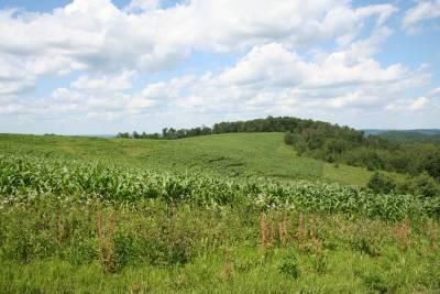 W4494 Highway 33, Greenfield, WI 54650