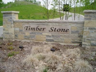 LT67 Timber Stone Subdivision, Richfield, WI 53033