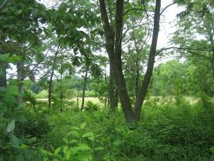 LT2 Wasaukee Rd., Mequon, WI 53097