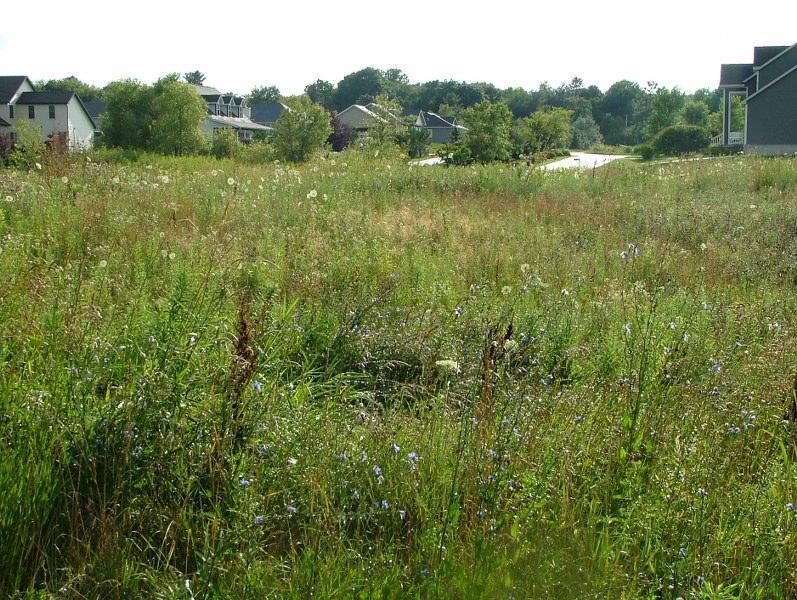 Lt11 Williams Plz., Linn, WI 53147