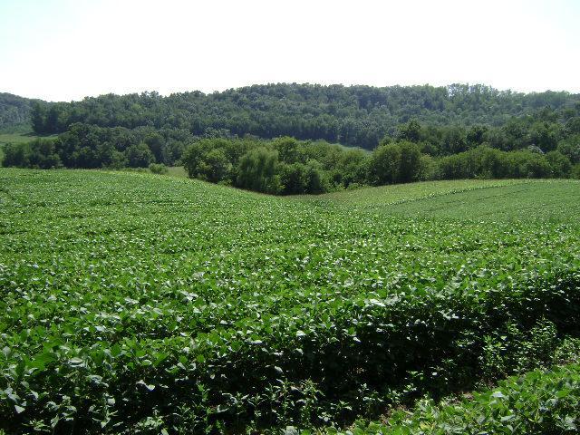 N29991 County Highway D, Preston, WI 54616