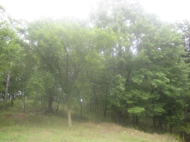 LT2 Kite Rd., Clifton, WI 54670