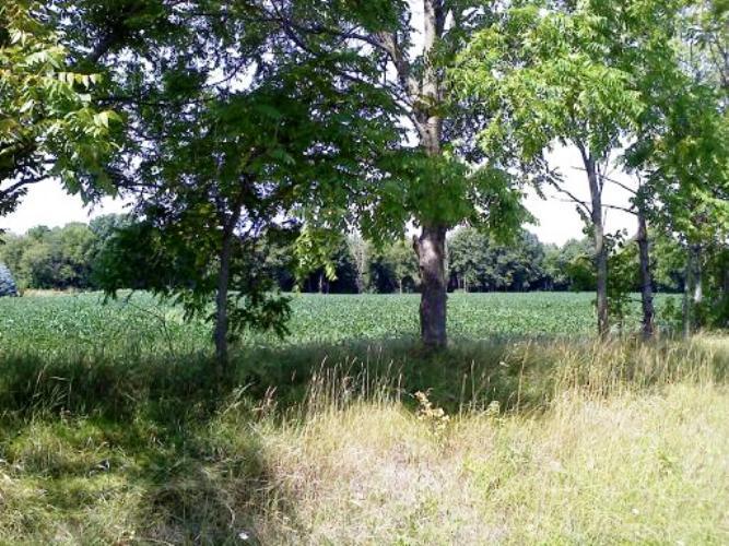 State Road 175, Addison, WI 53027