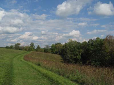 N442 10 Mile Cir., Greenfield, WI 54623