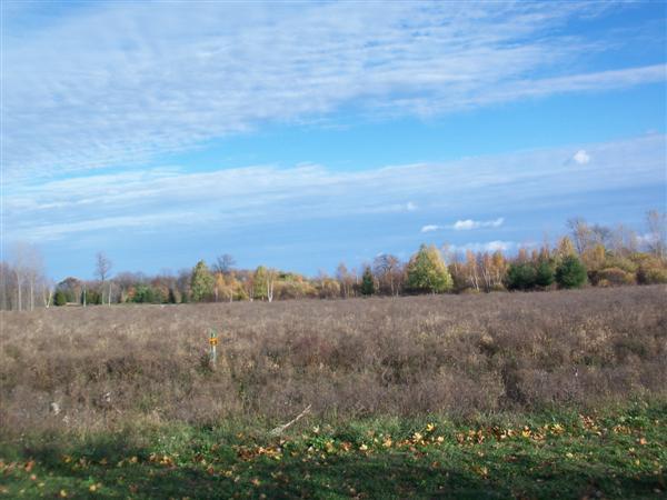 Lt4 Preserve At Briarwood, Sheboygan, WI 53083