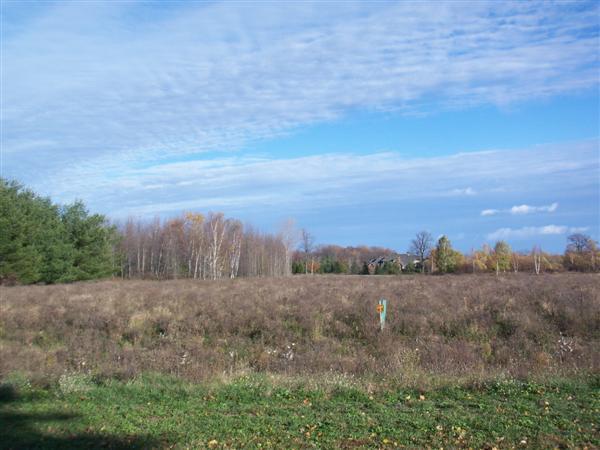 Lt5 Preserve At Briarwood, Sheboygan, WI 53083