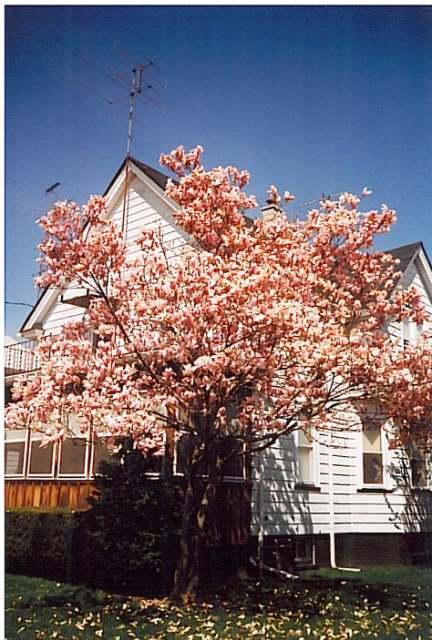 6727 22nd Ave., Kenosha, WI 53143