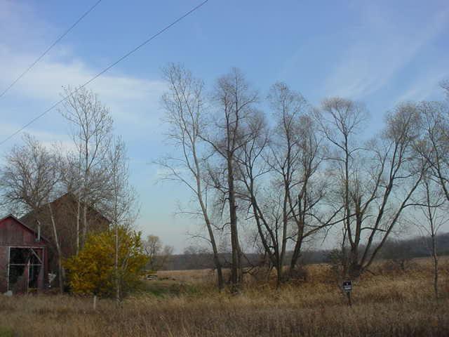 Hwy 28, Lyndon, WI 53093
