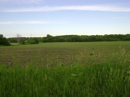 3900 S Woelfel Rd. #Lt1, New Berlin, WI 53146