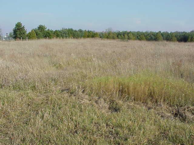 Parcel 2 Cert Surv6918 Shearer Rd., Eagle, WI 53119