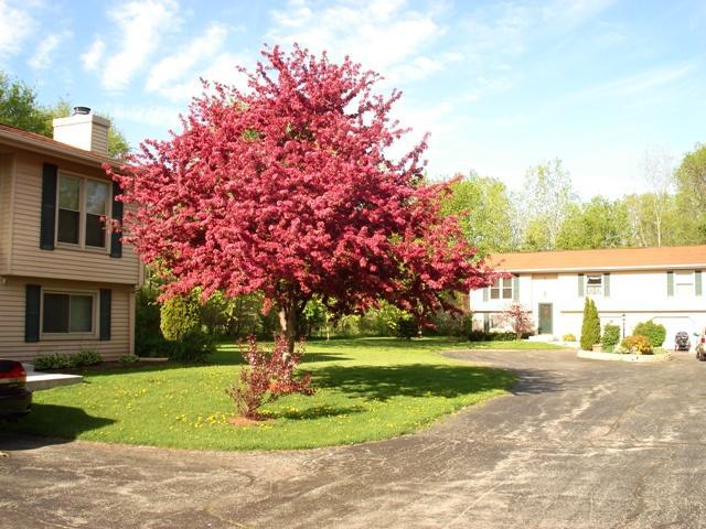 517 N Cushing Park, Delafield, WI 53018