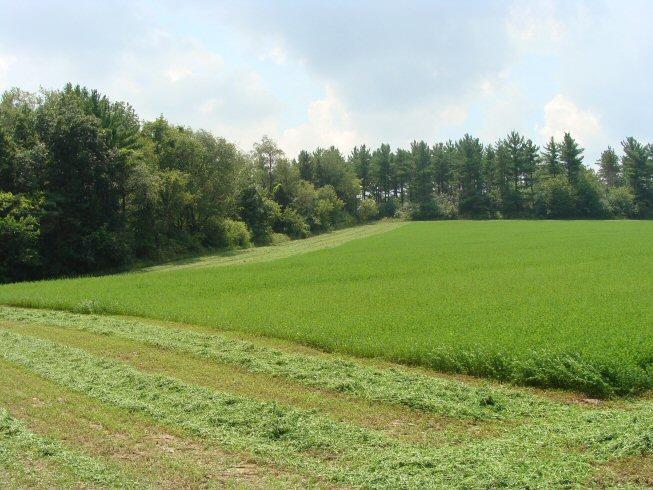 00 N Toppe Rd, Waterloo, WI 53594