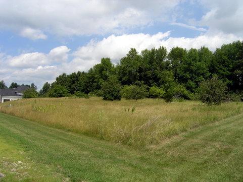 Lt 18 Rolling Hills Dr. #Lt 19, Manitowoc, WI 54220