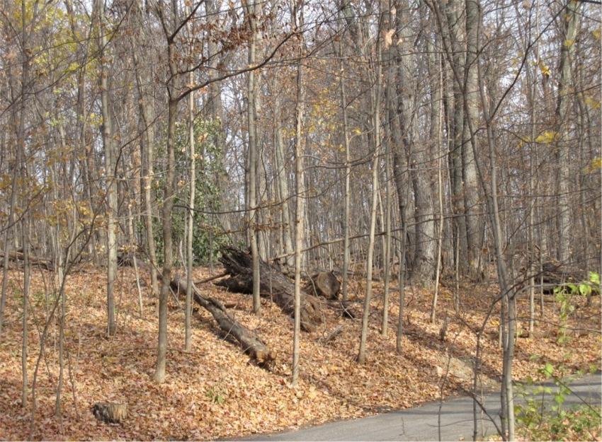 Lt1 Bonnie Brae Ln, Linn, WI 53147